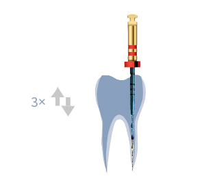 CC one plus assort recipracating
